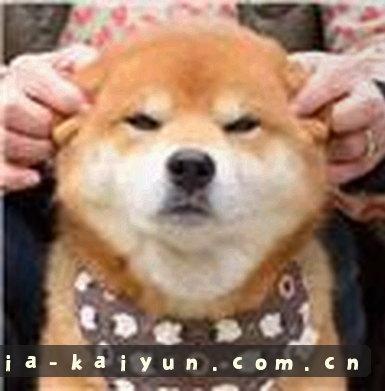 孙婷
